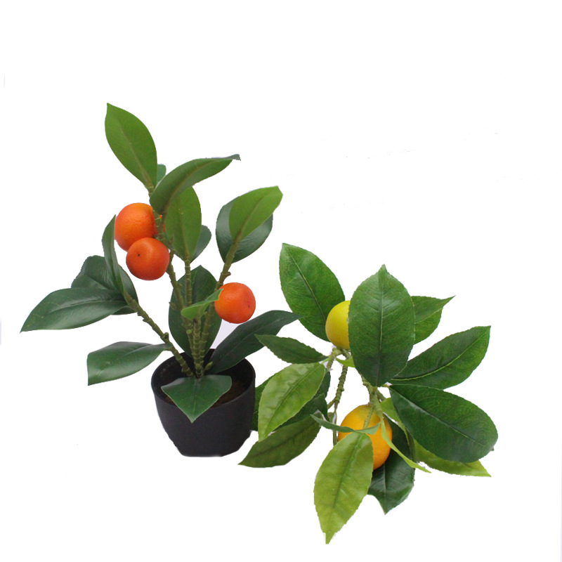 XRB-279 单枝桔子6叉18叶3果6.jpg