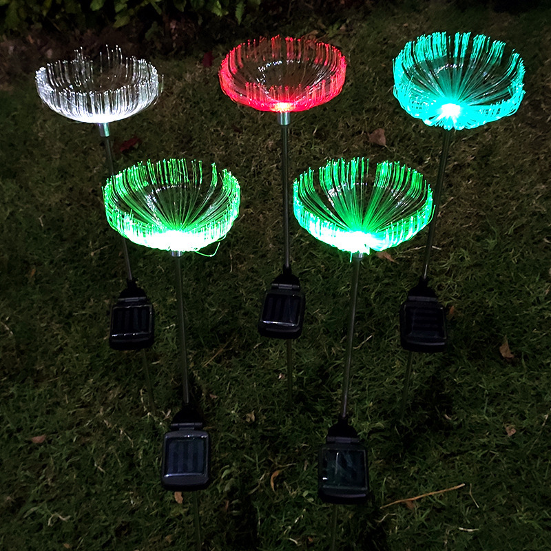 IMG_9522(20200806-215714)