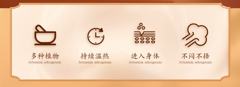 Mugwort Warming Patch Ai Cao Nuan Tie Herbal Heat Patch for Navel and Lower Back 5 Patches per Box overview