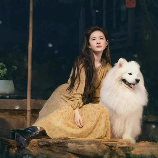 V领排扣褶裥灯笼袖碎花连衣长裙长袖春夏淑女风裙子醋酯纤维