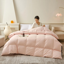 95大朵白鹅绒被秋冬羽绒被可拆洗被头酒店白鸭绒被冬季被子