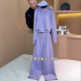 2025流行新款春装紫色休闲服一整套微胖大码宽松卫衣两件套女装