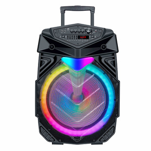 Manufacturer Customized Diweiqi 15/ 18inch Outdoor Trolley Audio Square Dance Audio Bluetooth Mobile Portable