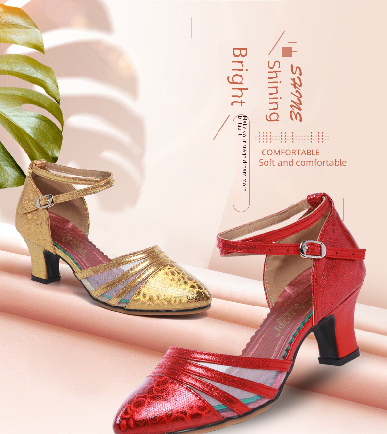 Latin Dance Shoes Image 1