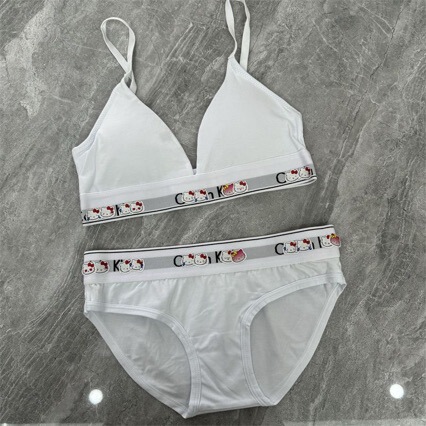 New Original Standard Buttoned Sports Underwear Set, Elastic Push-Up Comfortable Underwear Triangle Bra Set New Original Standard Buttoned Sports Underwear Set, Elastic Push-Up Comfortable Underwear Triangle Bra Set