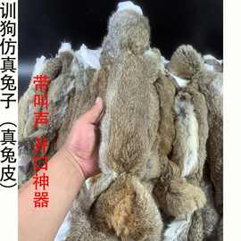 厂家现货批发训狗仿真兔子细犬幼犬细狗猎兔狗宠物狗户外遛狗神器