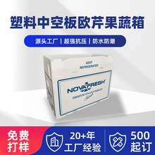 欧芹箱防水保鲜PP中空板周转箱定制塑料收纳箱可折叠保鲜折叠定制