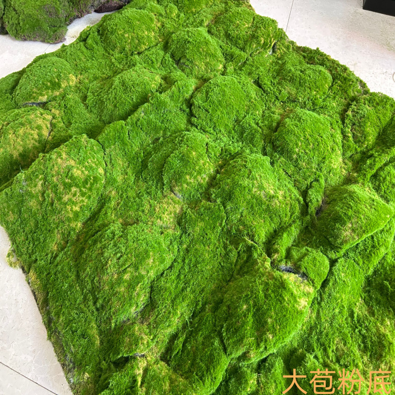 Price of large bud foundation per square meter