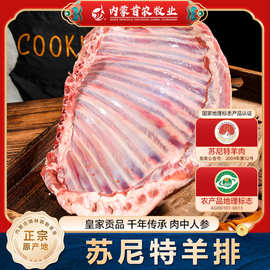 京锡林苏尼特羊排1斤商用法式小切羔羊肋排草原散养烧烤食材羊排