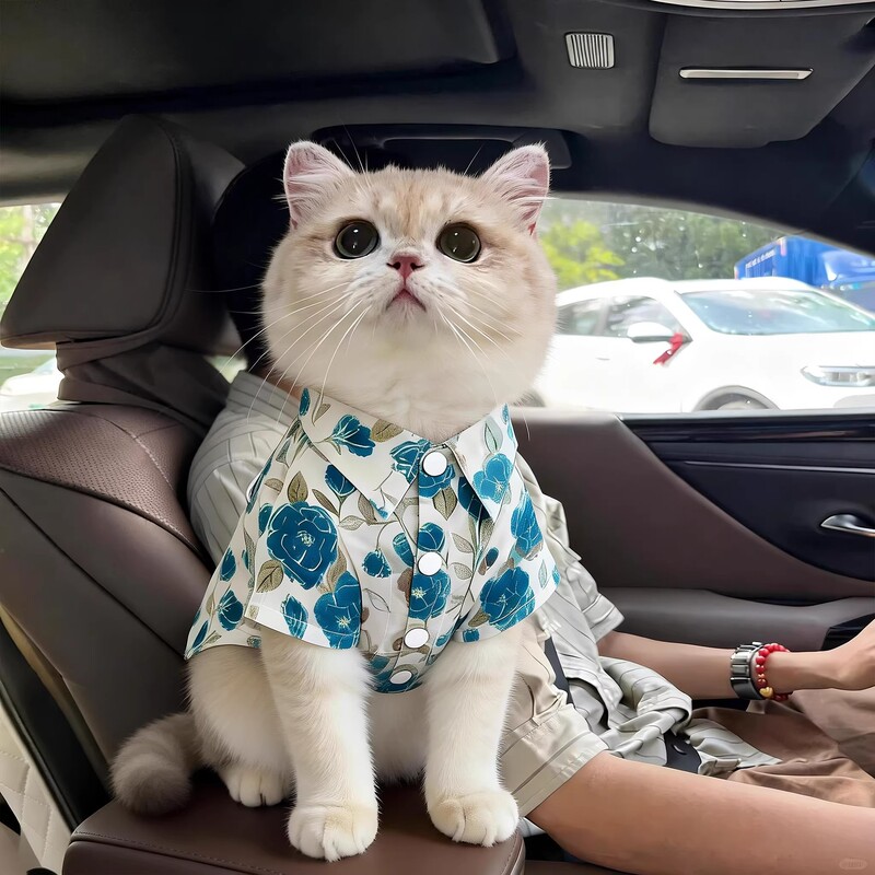 Cat Clothes Floral Shirt Spring and Summer Thin Style Anti-Hair Flyaway Ragdoll Gradient Kitten Pet Small Dog Clothes