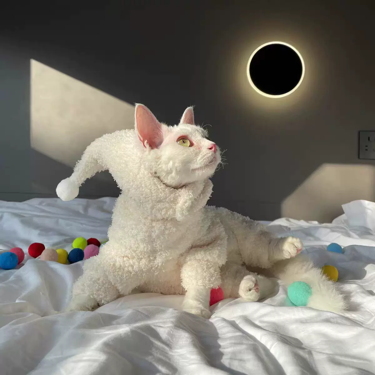 宠物服装秋冬季保暖纯色四脚衣可爱小精灵带帽亲肤款毛绒猫咪衣服