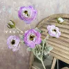 6 superstar peony deep purple
