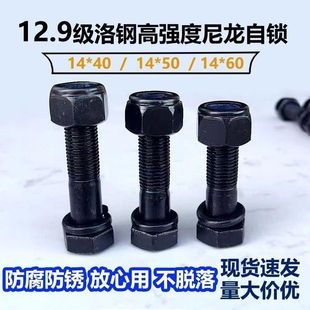 12.9���Ӻ��_�����ݽz�僲��\�����C���i����A�P��M12M14