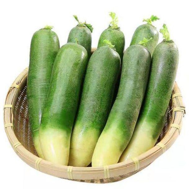 潍坊萝卜水果萝卜甜脆水果型潍县沙窝青萝卜10斤新鲜天津生吃正宗