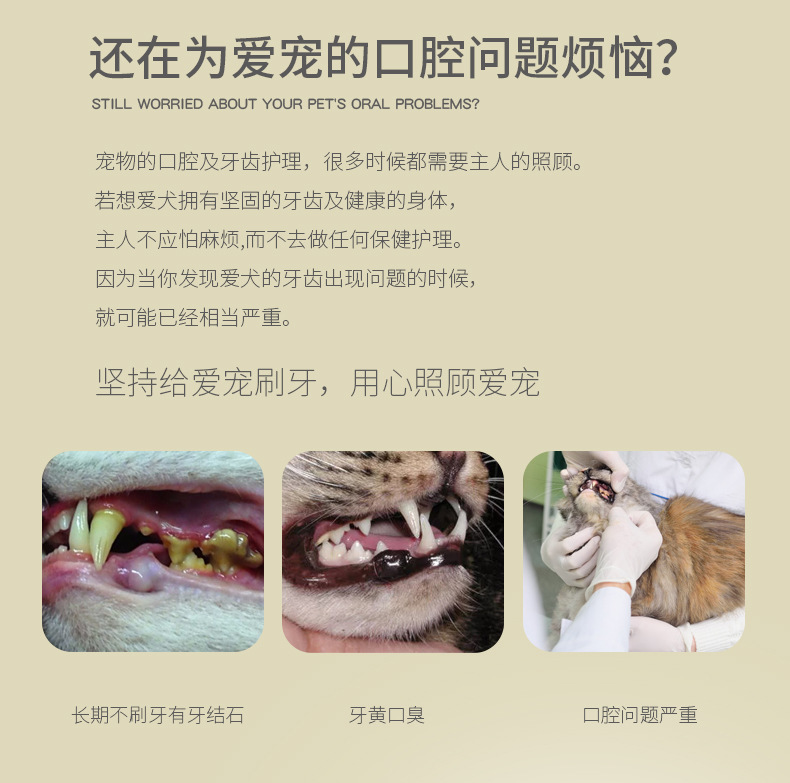 宠物牙膏套装 猫狗洁牙万根毛牙刷套装 猫咪狗狗口腔清洁宠物用品
