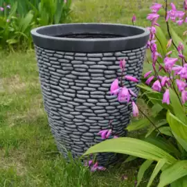 花盆容器;栽培基质;花盆装饰