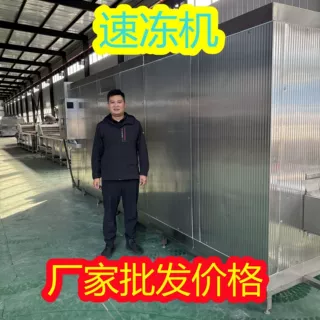牛肝菌 豆角 鱿鱼隧道式速冻机   连续式冷冻设备  调理品生产线