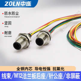 中连 M12法兰板 带线束 孔母针公 非屏蔽航空插头 厂家现货直销