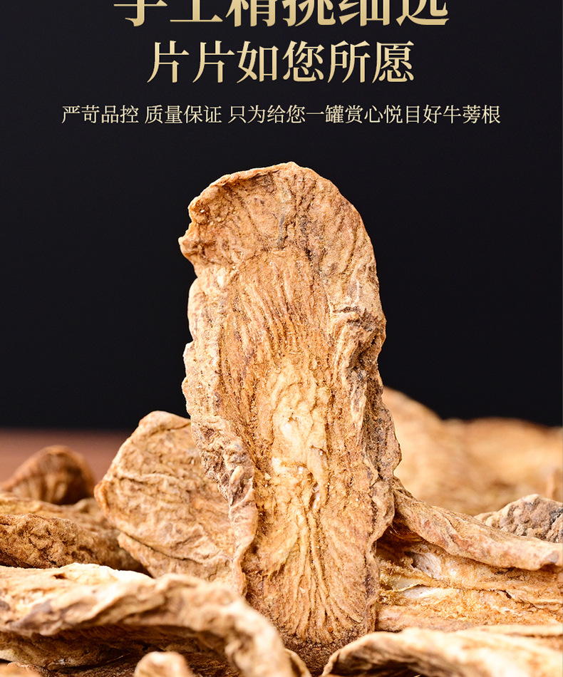 Burdock Root Tea Niu Bang Gen 130g Jar Dried Golden Burdock Slices for Daily Herbal Infusion in use