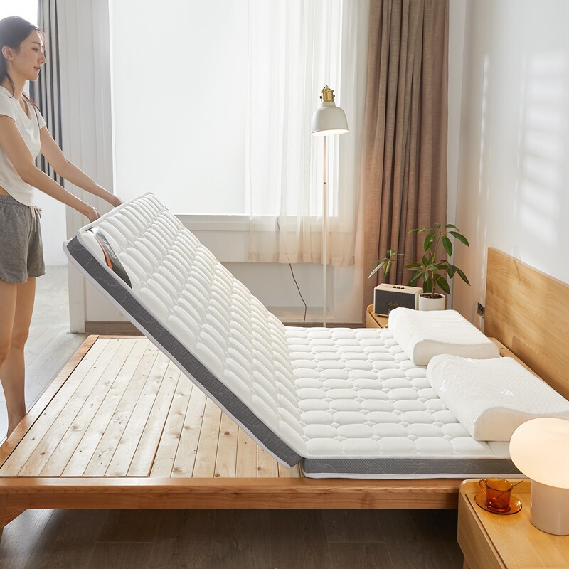 Latex 3E Coconut Palm Mattress Five-Star Hotel Tatami Economical Soft and Hard Moderate Foldableable Home 10 Breathable