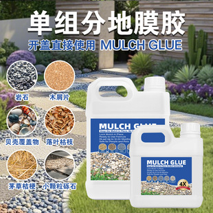 深圳市今喜鸟科技有限公司