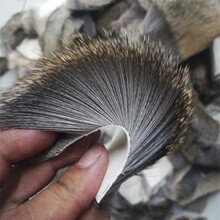 整张鹿狍毛皮 飞钓飞蝇绑制材料 路亚毛钩绑制 天然鹿毛原皮