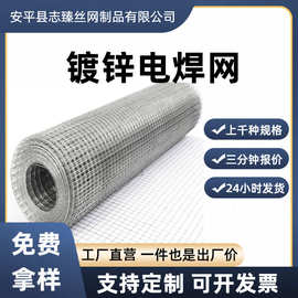 镀锌铁丝网养殖围栏不锈钢电焊网果园钢丝防护网加粗加厚阳台封窗