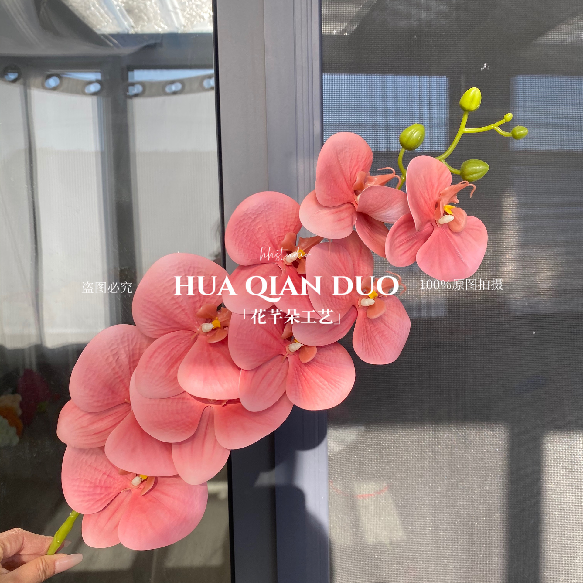 9 머리 3d phalaenopsis