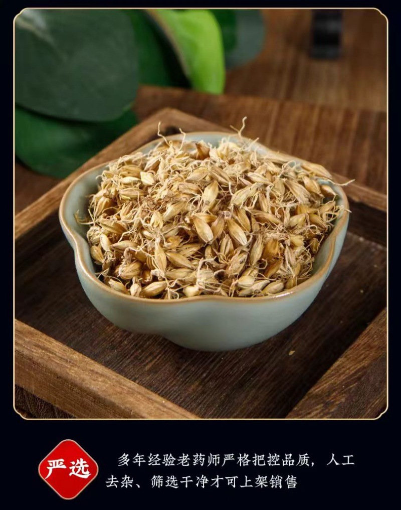 Malt (Hordeum vulgare) — Dried Food-Herb Barley Sprout, 500g quality and texture