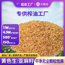 纯天然亚麻籽批发 榨油 烘焙专用生黄色亚麻籽代加工黄金生亚麻籽