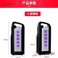 台铃绿源爱玛电动车锂电池大容量锂电池48v大容量全新多功麦太保
