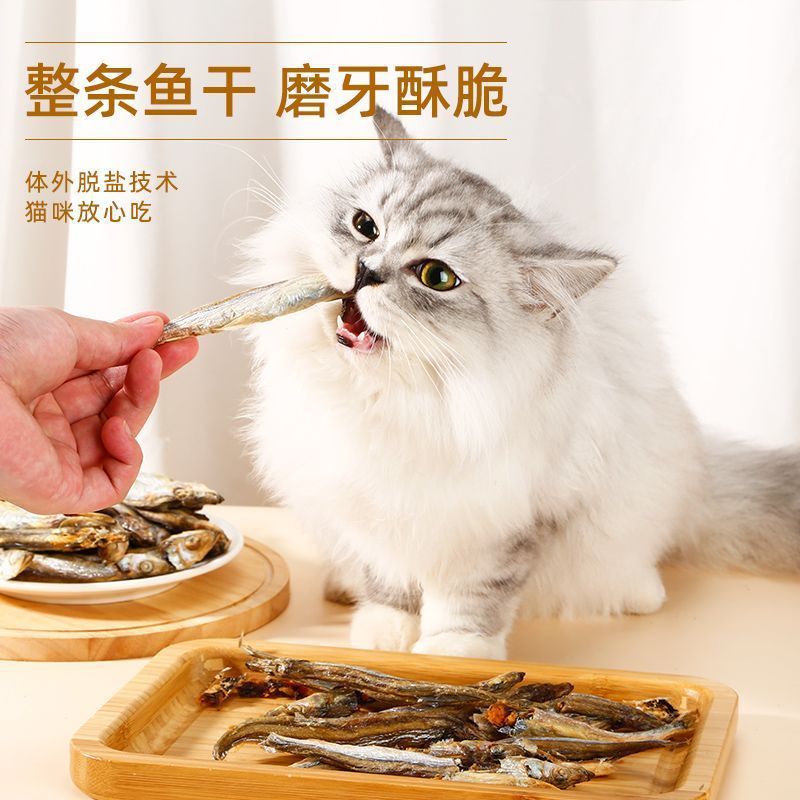 정규 포장 [비수기 봄 물고기] 씨앗이 적음