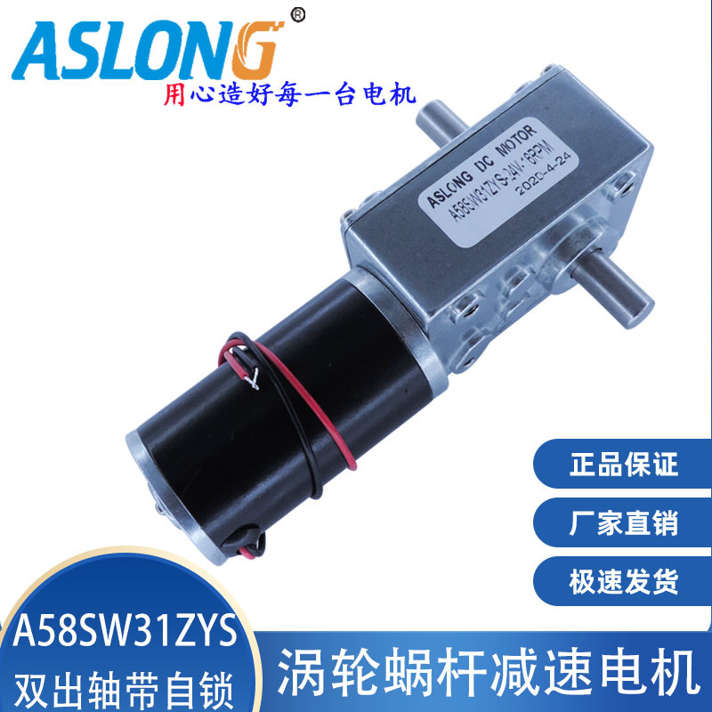 ASLONG涡轮蜗杆减速电机 A58SW31ZYS 双出轴带自锁双轴承减速马达