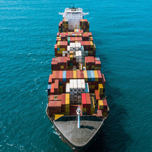 DϺ40HQȥ FREETOWN \FCLH\ݔ