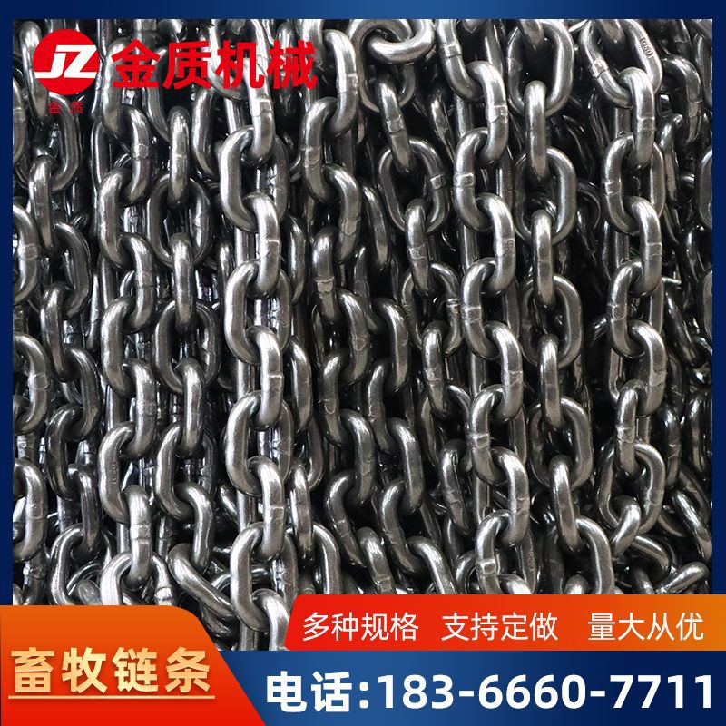 金质机械供应不锈钢链条建筑工地提升机起重机刮板机用链条