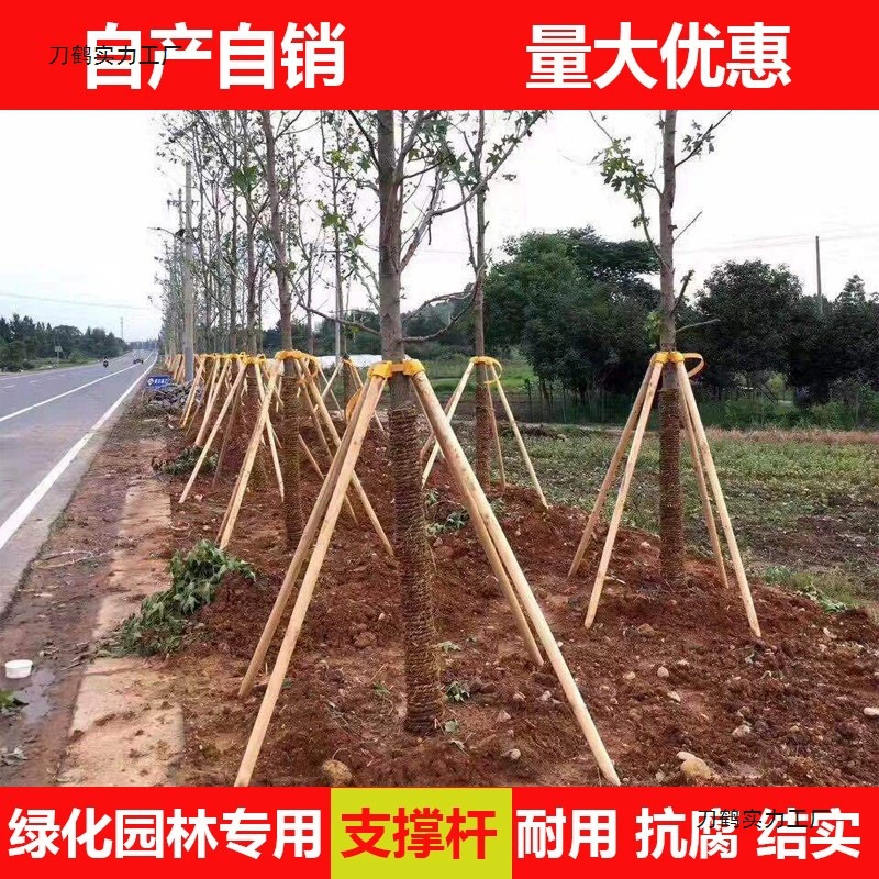 Опорные столбы для саженцев, елки, тополя, опорные каркасы для сосны, ветрозащитные фиксирующие каркасы для зелени, наборы чашек, штатив.