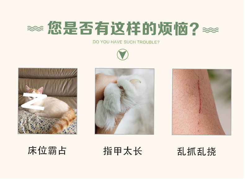 36f0afae-036b-4276-a4c0-8997f23b80d8.jpe