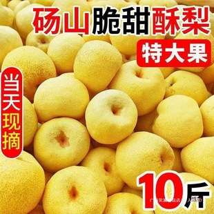 �F؛��Ƥ�Xɽ���泬����]ؕ�����䮔�����rˮ���������l֧��