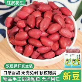 红皮花生米5年新农家生的红衣花生仁新鲜发豆芽种打豆浆用