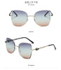 Fashionable sunglasses, 2022 collection, internet celebrity