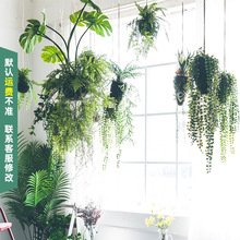 氧气森林悬挂吊球仿真绿植吊顶空间装饰摆件垂挂盆栽家居仿真花