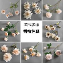 �㙉ɫ��c��Y���滨�Ĺ��T�廨���Ż��b�֧����õ�彁��