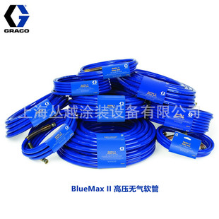 ���l���a����� ���T�C�T�Ϲ� ����T�Ϲ� �߉������