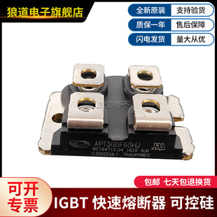 Provide the Full Range of Miko Senmei Diode Module APT30DF60HJ-2