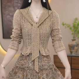 轻羽丝时尚洋气优雅女神俩件套秋季新款中青年修身套装女