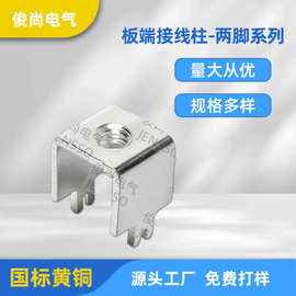 两脚接线铜柱板端接线柱两脚电子焊接端子保险管黄铜连接器插件