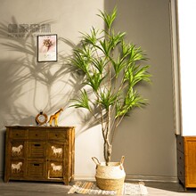 �W�t���������Ѫ��ǧ��ľ�������҃ȿ͏d������ϾGֲ���b[��
