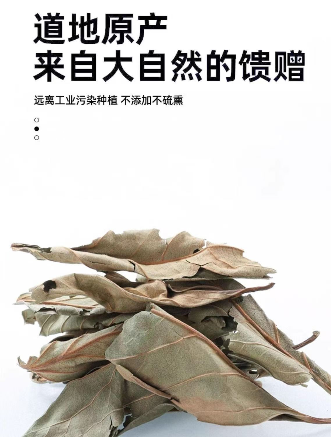 Dried Persimmon Leaf Shi Ye 20g Jar Frost-Touched Herbal Tea Leaves for Daily Infusion specifications