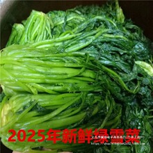 2024�|̨�Gѩ���̲˴��b�Gɫѩ��tޮ���r��������u������