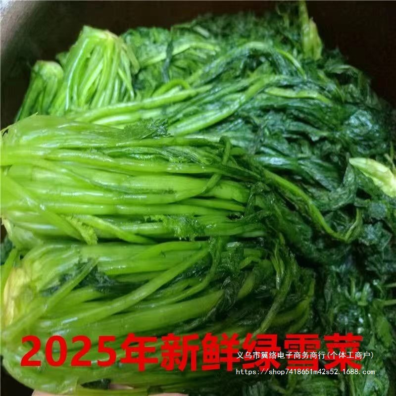 2024东台绿雪菜咸菜袋装绿色雪里红蕻新鲜腌制下饭菜酱菜整箱